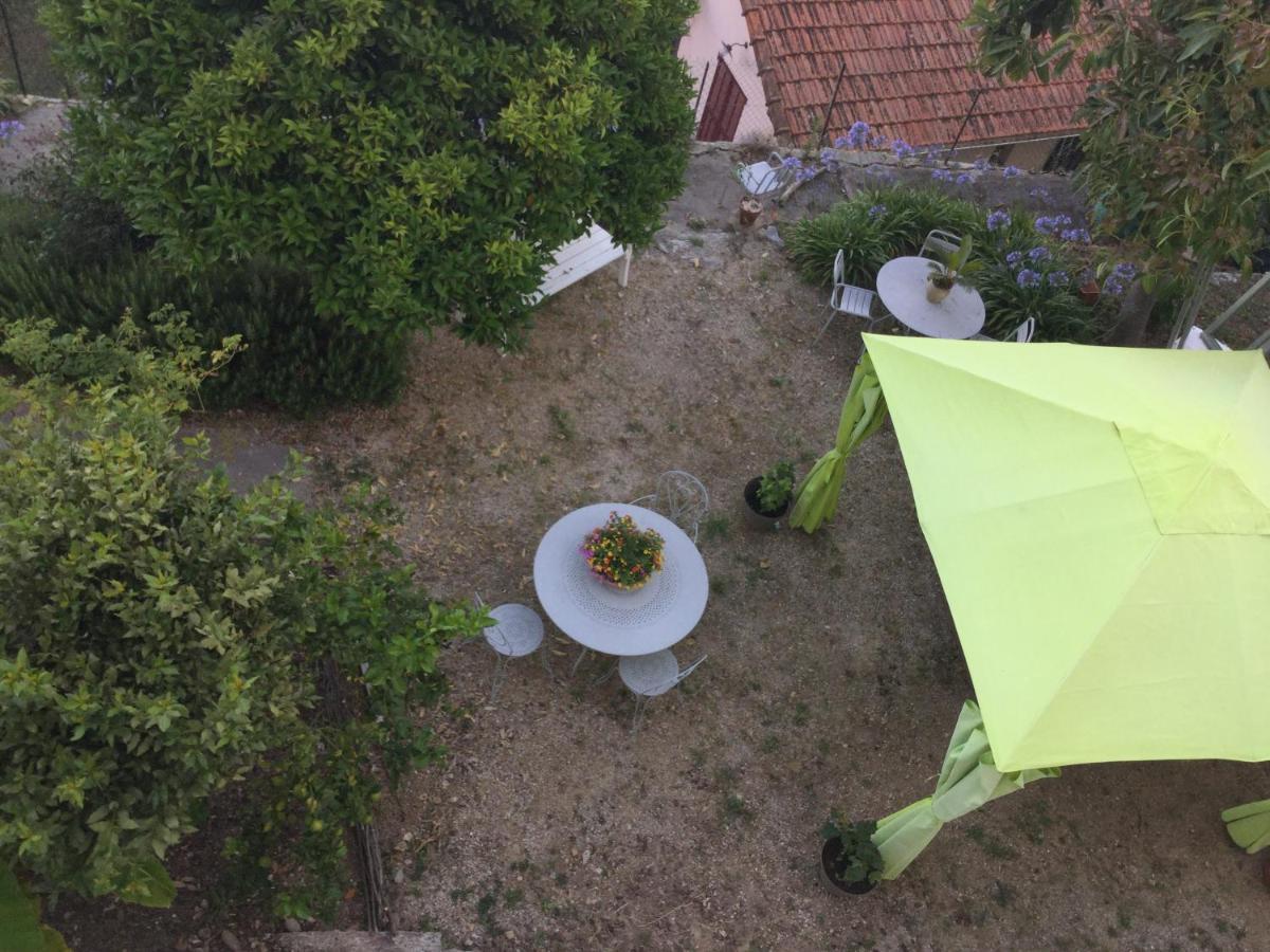 Les Palmiers Bed & Breakfast Grasse Bagian luar foto