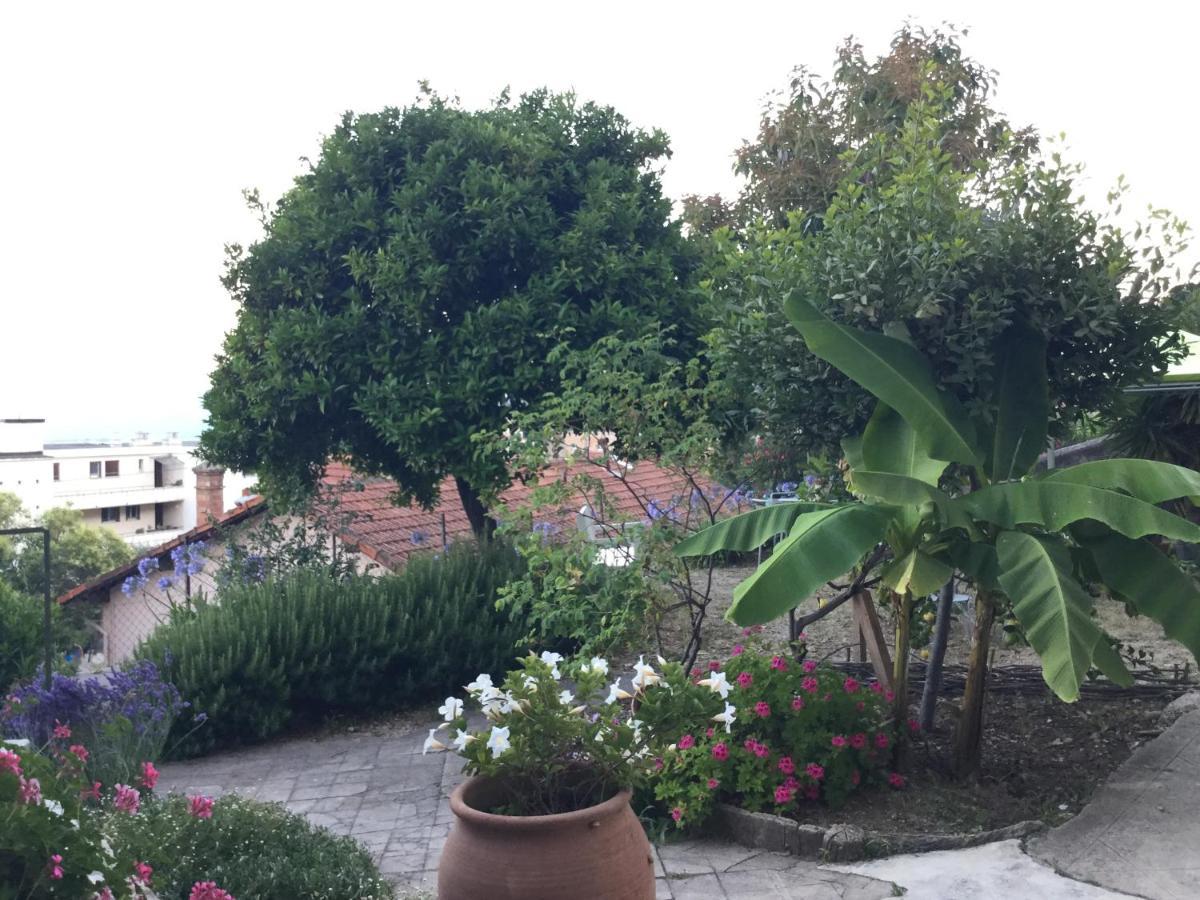 Les Palmiers Bed & Breakfast Grasse Bagian luar foto