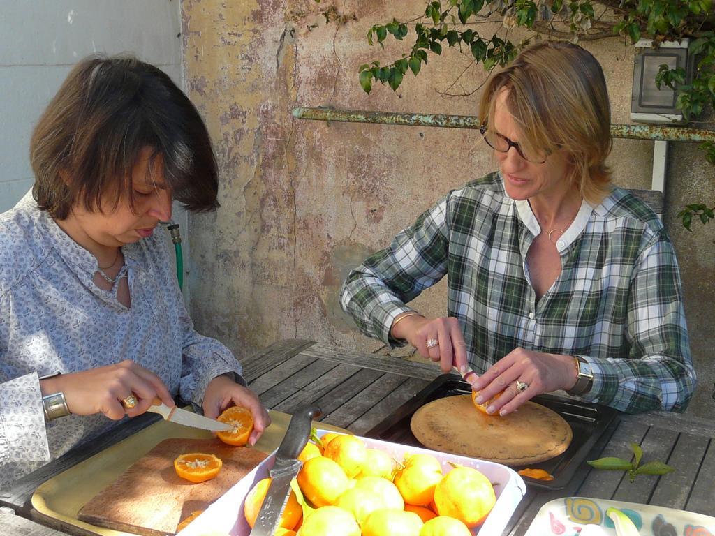 Les Palmiers Bed & Breakfast Grasse Bagian luar foto