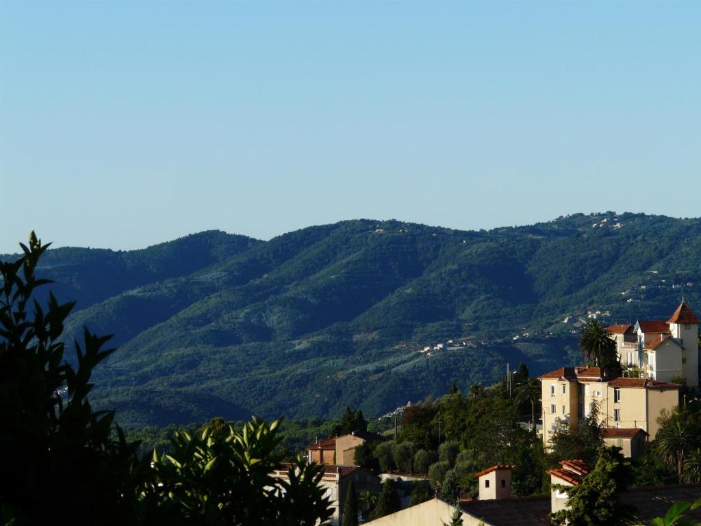 Les Palmiers Bed & Breakfast Grasse Bagian luar foto